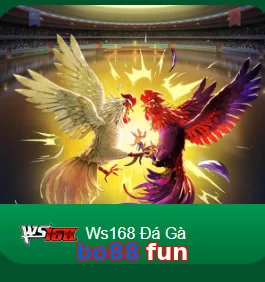 bo88 fun
